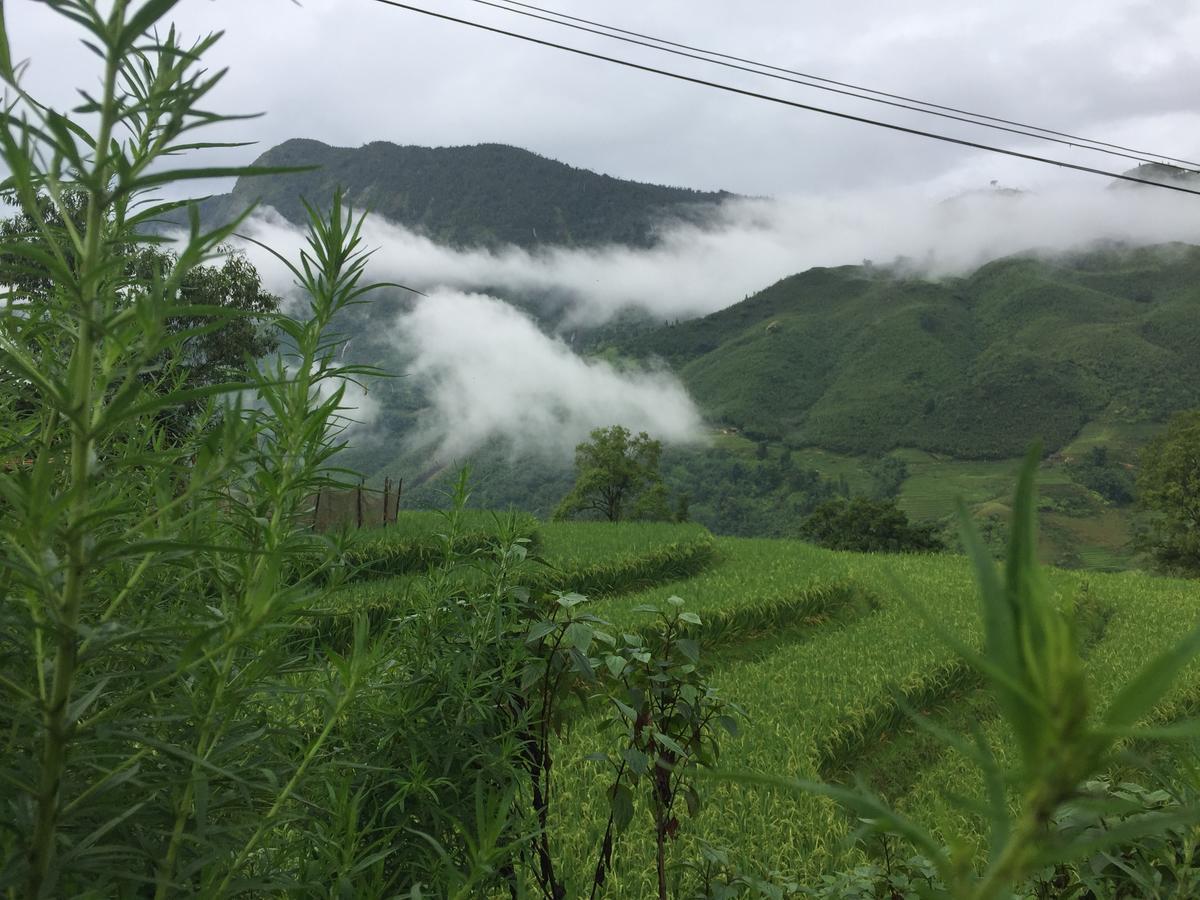 Freedom Homestay & Trekking Шапа Екстер'єр фото